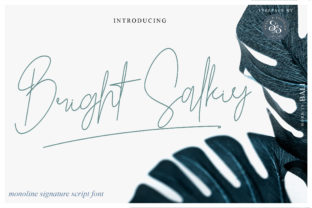 Bright Salkiy Font Review