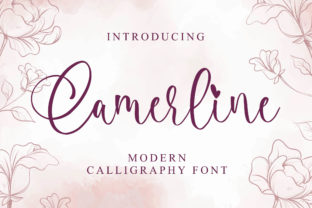 Camerline: A Script Font for Bold Campaigns