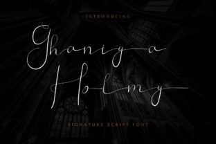 Ghaniya Holmy Font for Web Design