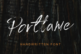 Portlame: A Fun Script Font for Creative Campaigns