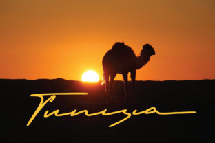 Tunisia Font for Stylish Campaigns